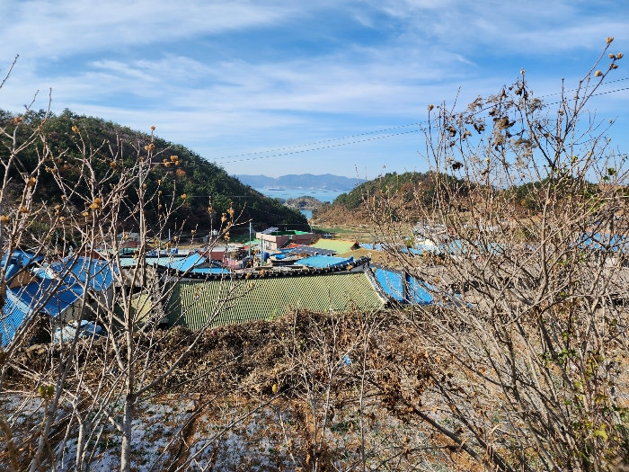 경매마당 경매정보 2022타경5290의 시세, 권리분석, 상세정보